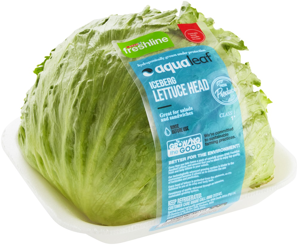 freshline aqualeaf iceberg lettuce 