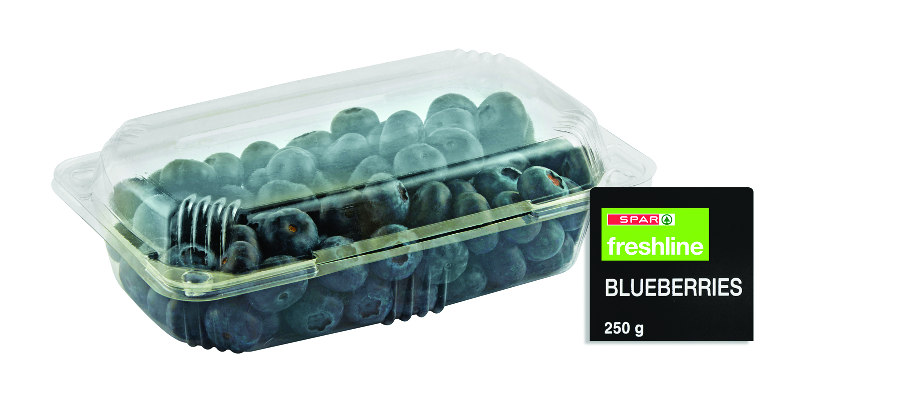 freshline blueberries  