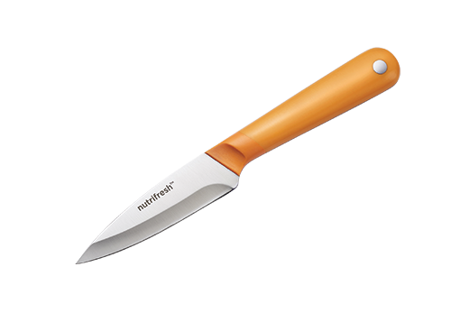9.5 cm Paring Knife