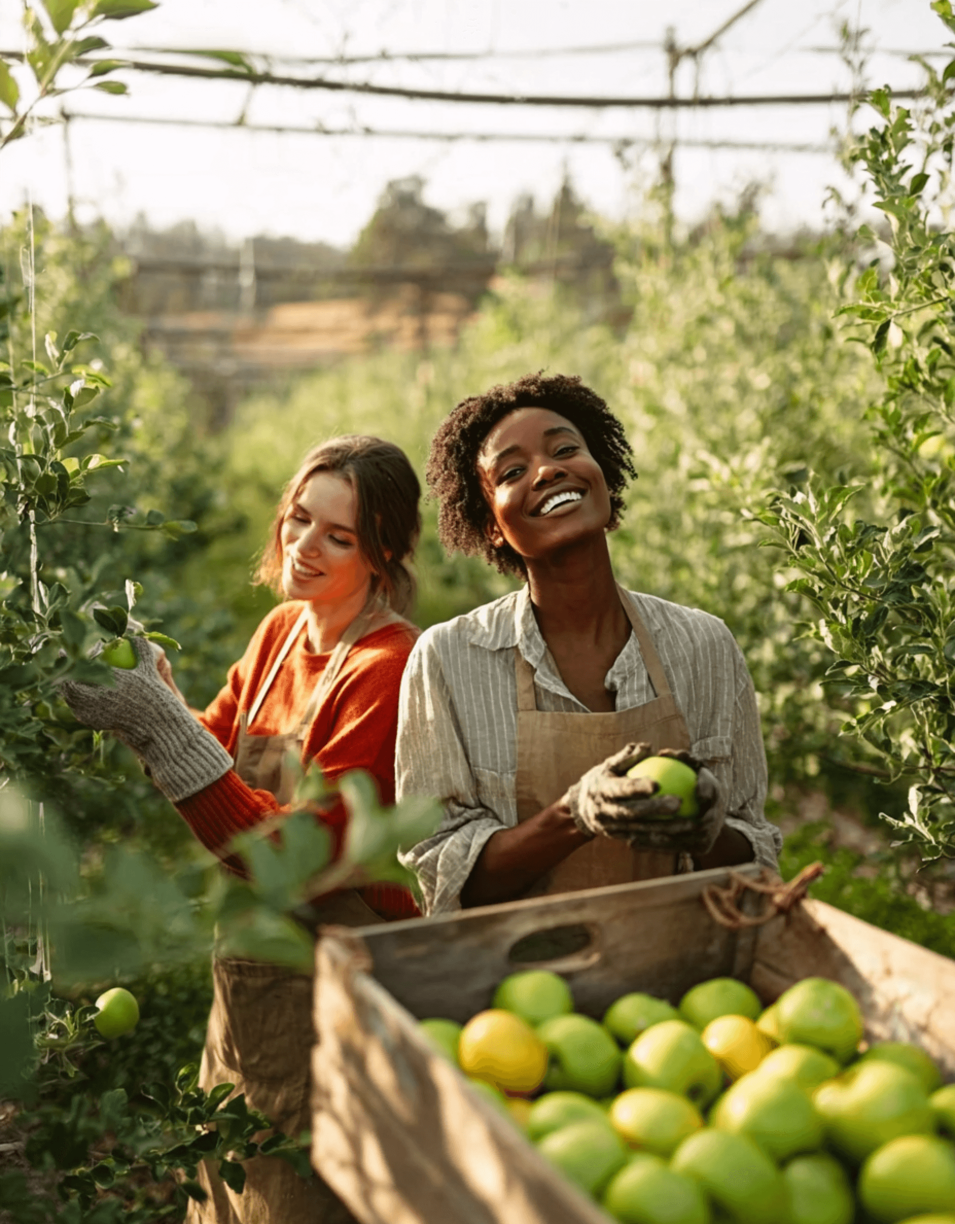 responsible sourcing and sustainable supply chains
