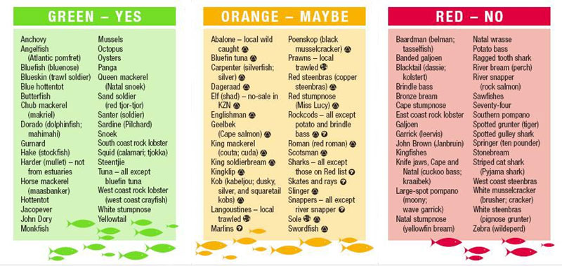 sassi-list.jpg sassi-list.jpg