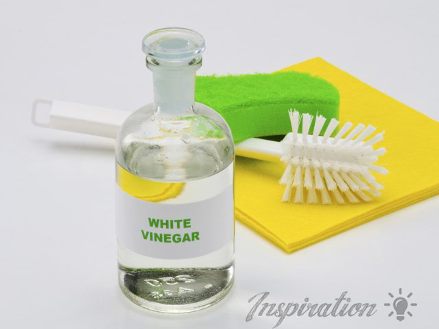 Vinegar is the Solution