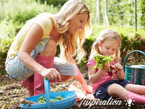 Grow Your Own Vegetables