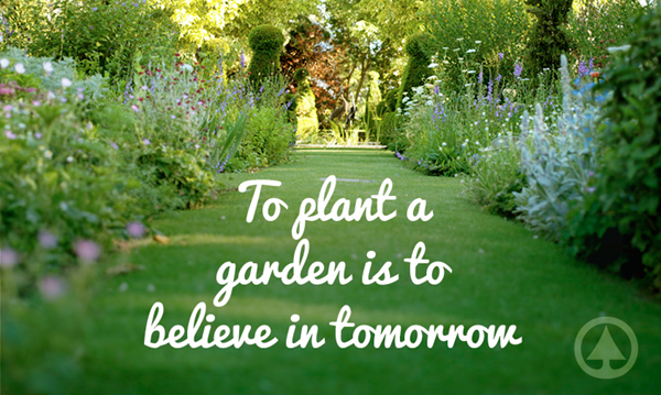 To plant a garden